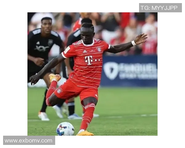 非洲足球现役球星风采展示：从萨拉赫到马内的崛起与荣耀